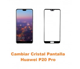 Cambiar Cristal Pantalla...