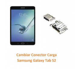 Cambiar Conector Carga...