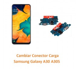 Cambiar Conector Carga...