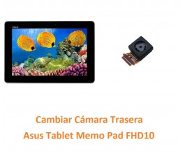 Cambiar Cámara Trasera Asus...