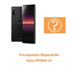 Presupuesto Reparación Sony...