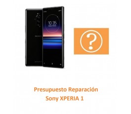 Presupuesto Reparación Sony...