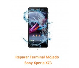 Reparar Terminal Mojado...