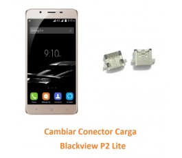 Cambiar Conector Carga...