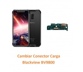 Cambiar Conector Carga...