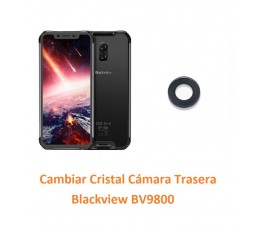 Cambiar Cristal Cámara...