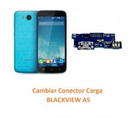 Cambiar Conector Carga...