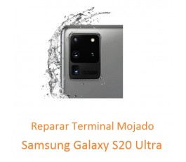 Reparar Terminal Mojado...