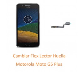 Cambiar Flex Lector Huella...