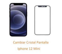 Cambiar Cristal Pantalla...