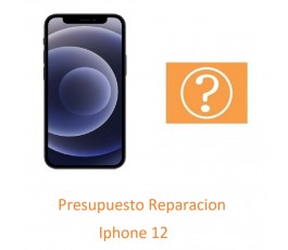 Presupuesto Reparacion...