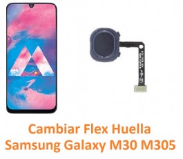 Cambiar Flex Huella Samsung...