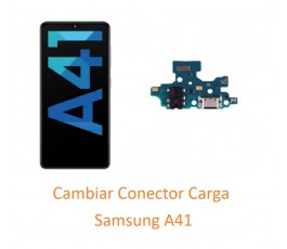 Cambiar Conector Carga...