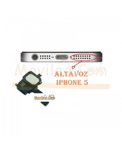 Cambiar Altavoz iPhone 5 - Imagen 1