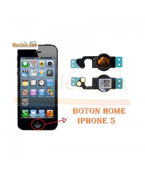 Cambiar Boton Home iPhone 5 - Imagen 1