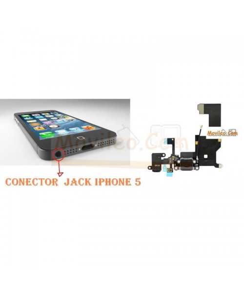 Cambiar Jack / Conector de Auriculares iPhone 5 - Imagen 1