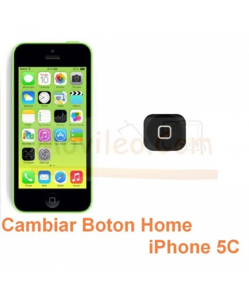 Cambiar Boton Home iPhone 5C - Imagen 1