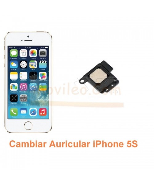 Cambiar Auricular iPhone 5S - Imagen 1