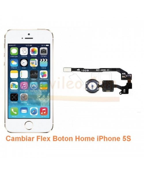 Cambiar Flex Boton Home iPhone 5S - Imagen 1