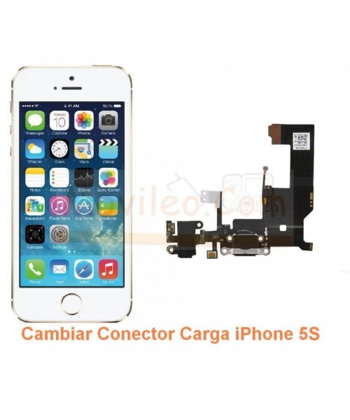 Cambiar Conector Carga iPhone 5S - Imagen 1