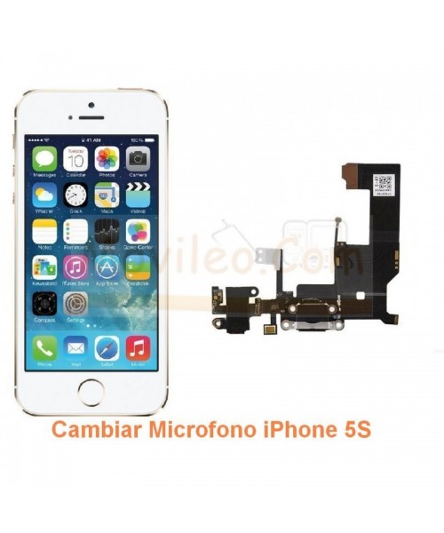Cambiar Microfono iPhone 5S - Imagen 1