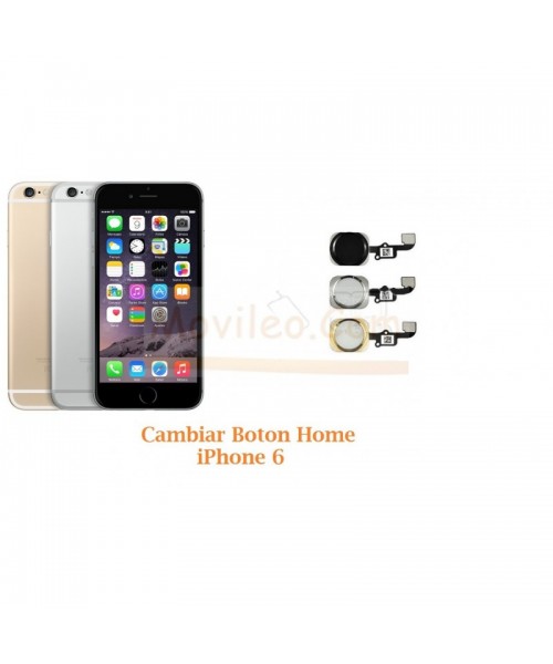 Cambiar Boton Home iPhone 6 - Imagen 1