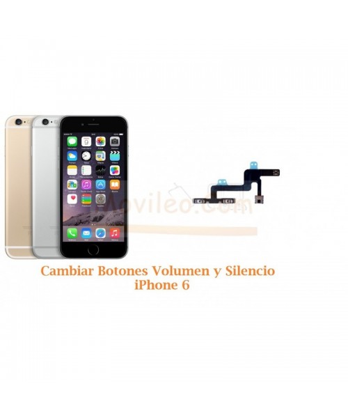 Cambiar Botones Volumen y Silencio iPhone 6 - Imagen 1