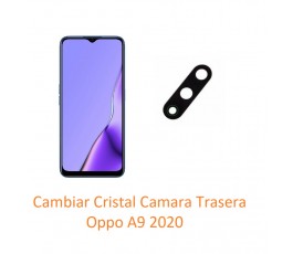 Cambiar Cristal camara...