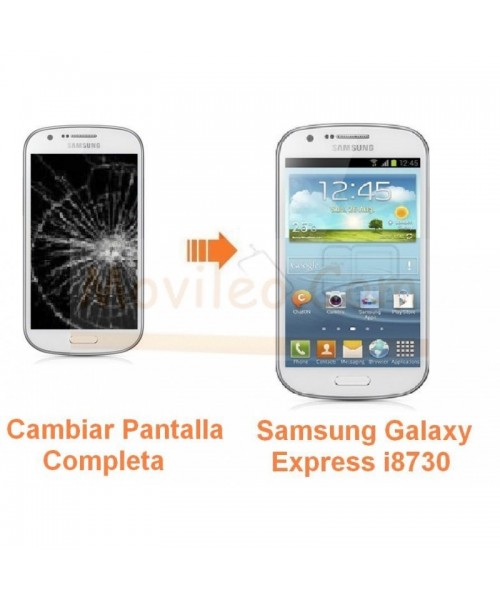 Cambiar Pantalla Completa Samsung Galaxy Express i8730 - Imagen 1