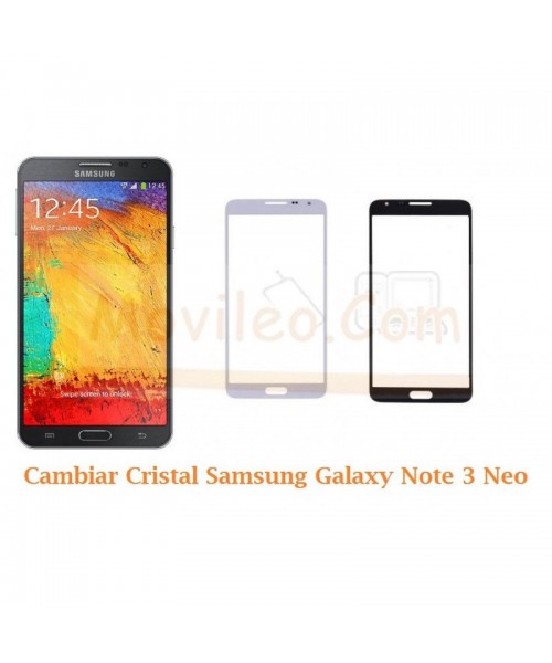 Cambiar Cristal Samsung Galaxy Note 3 Neo N7505 - Imagen 1