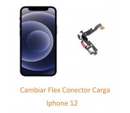 Cambiar Flex Conector Carga...