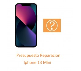 Presupuesto Reparacion...