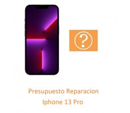 Presupuesto Reparacion...