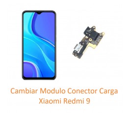 Cambiar Modulo Conector...