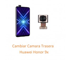Cambiar Camara Trasera...