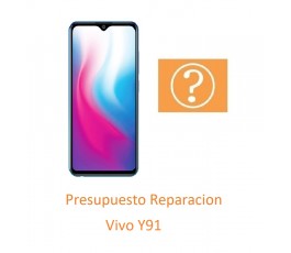 Presupuesto Reparacion Vivo...