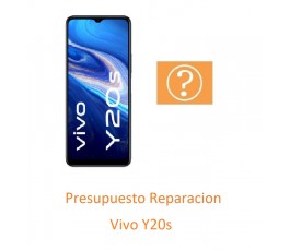 Presupuesto Reparacion Vivo...