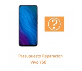 Presupuesto Reparacion Vivo...