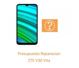 Presupuesto Reparacion Zte...