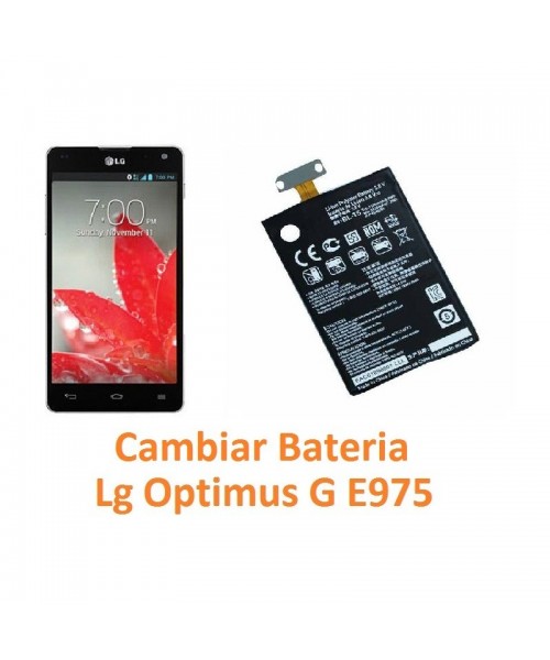 Cambiar Batería Lg Optimus G E975 - Imagen 1
