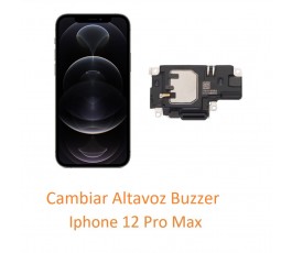 Cambiar Altavoz Buzzer...