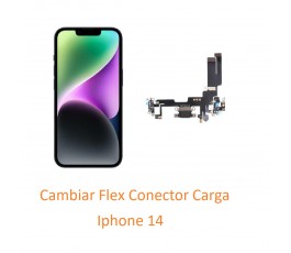 Cambiar Flex Conector Carga...