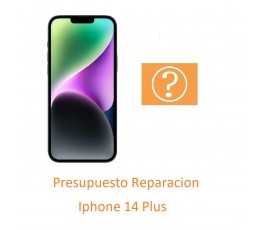 Presupuesto Reparacion...