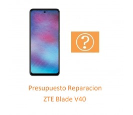 Presupuesto Reparacion ZTE...