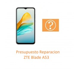 Presupuesto Reparacion ZTE...