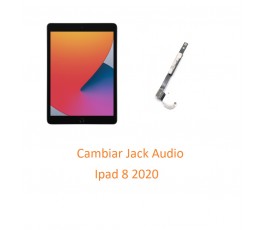 Cambiar Jack Audio Ipad 8 2020