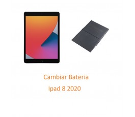 Cambiar Bateria Ipad 8 2020