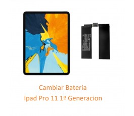 Cambiar Bateria Ipad Pro 11...