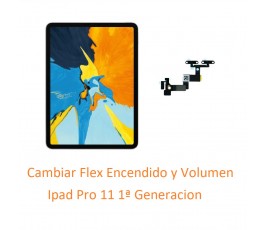 Cambiar Flex Encendido y...