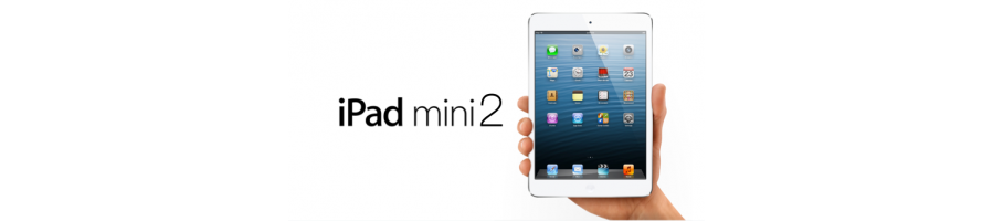 iPad Mini 2 A-1489